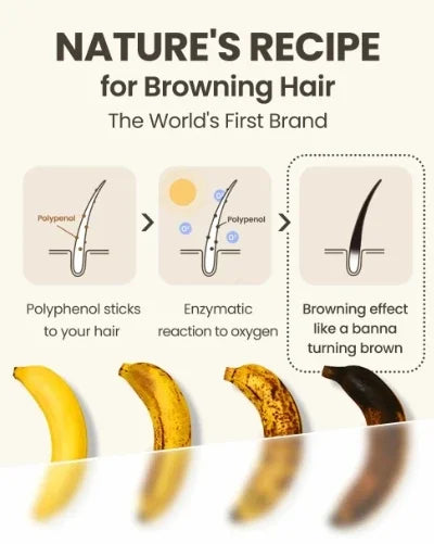 YH03 White Hair Killer White To Black HairAnti-grey Hair Essence Serum Treatment Restore Natural Hair Color and Restore Healthy