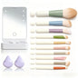 10Pcs Macaron Makeup Brush Set with Led Light Mirror Portable Travel Cosmetic Brushes Kit with Triangle Powder Puff Beauty Tools
